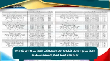 «حجز سريع» رابط منظومة حجز اسطوانات الغاز شركة البريقة bmc brega ly وكيفية إتمام العملية بسهولة